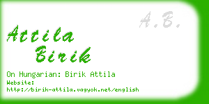 attila birik business card